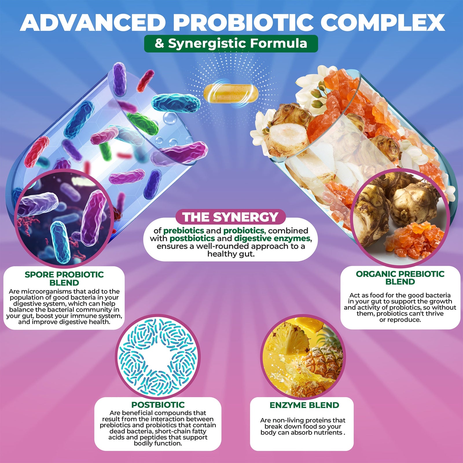 best spore probiotic