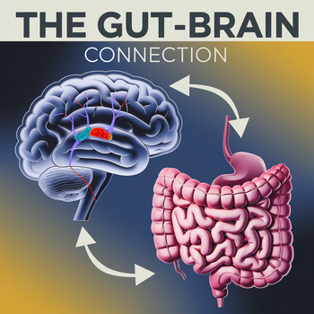 The Gut-Brain Connection 