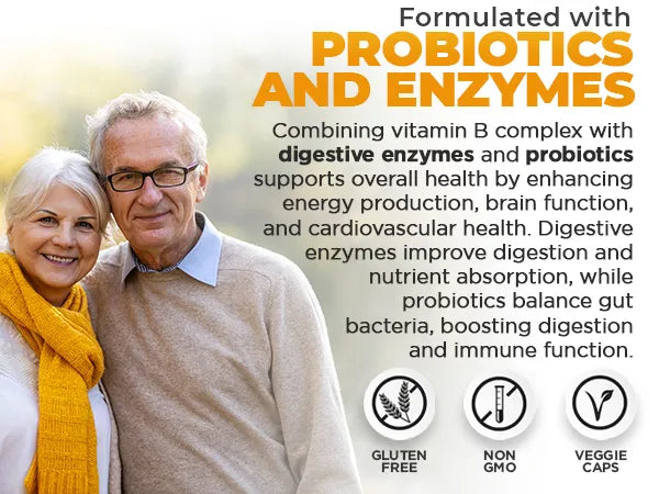 Infographic for probiotics with an elderly couple and text about probiotics and enzymes.