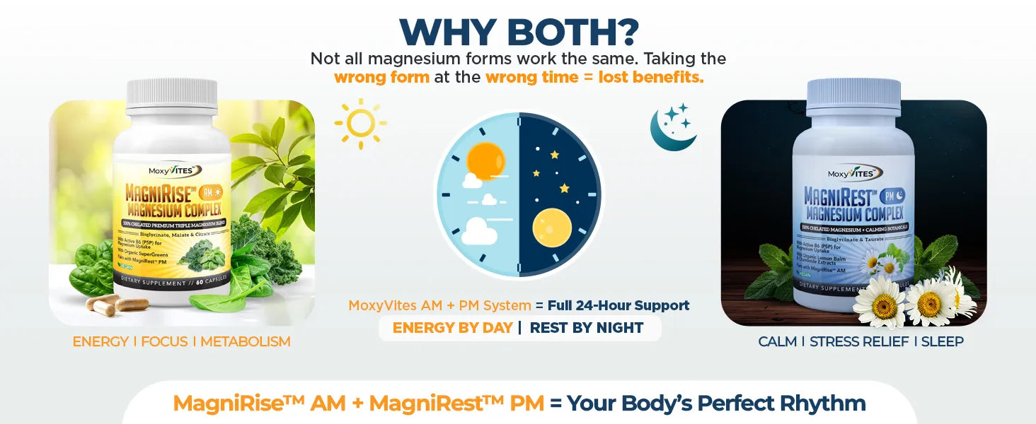 Infographics for MagniRise AM and MagniRest PM supplements with product images and text.
