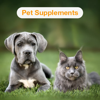 Moxyvites Pet Suppliments Mobile collection