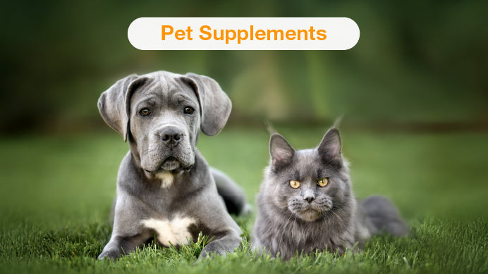 A dog and a cat on the green grass with the text Pet Supplements