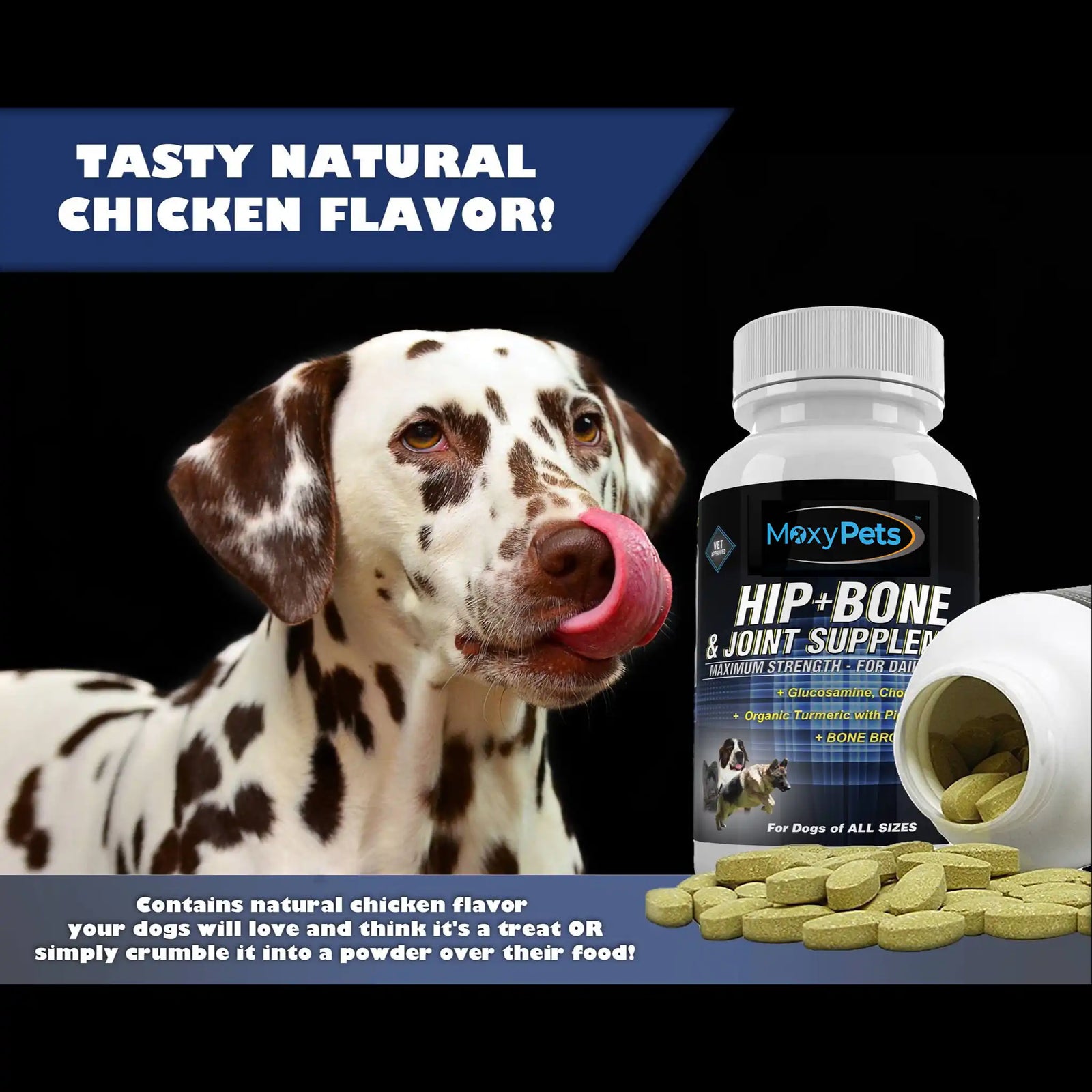 Moxy Pets Hip + Bone & Joint Supplement bottle on a white background