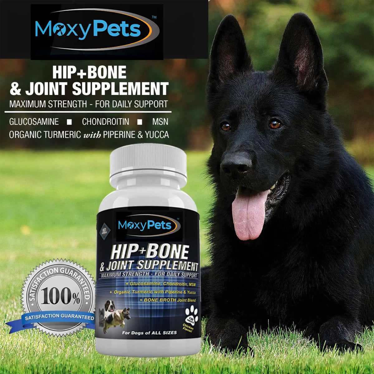 Supplement bottle with a black dog in the background