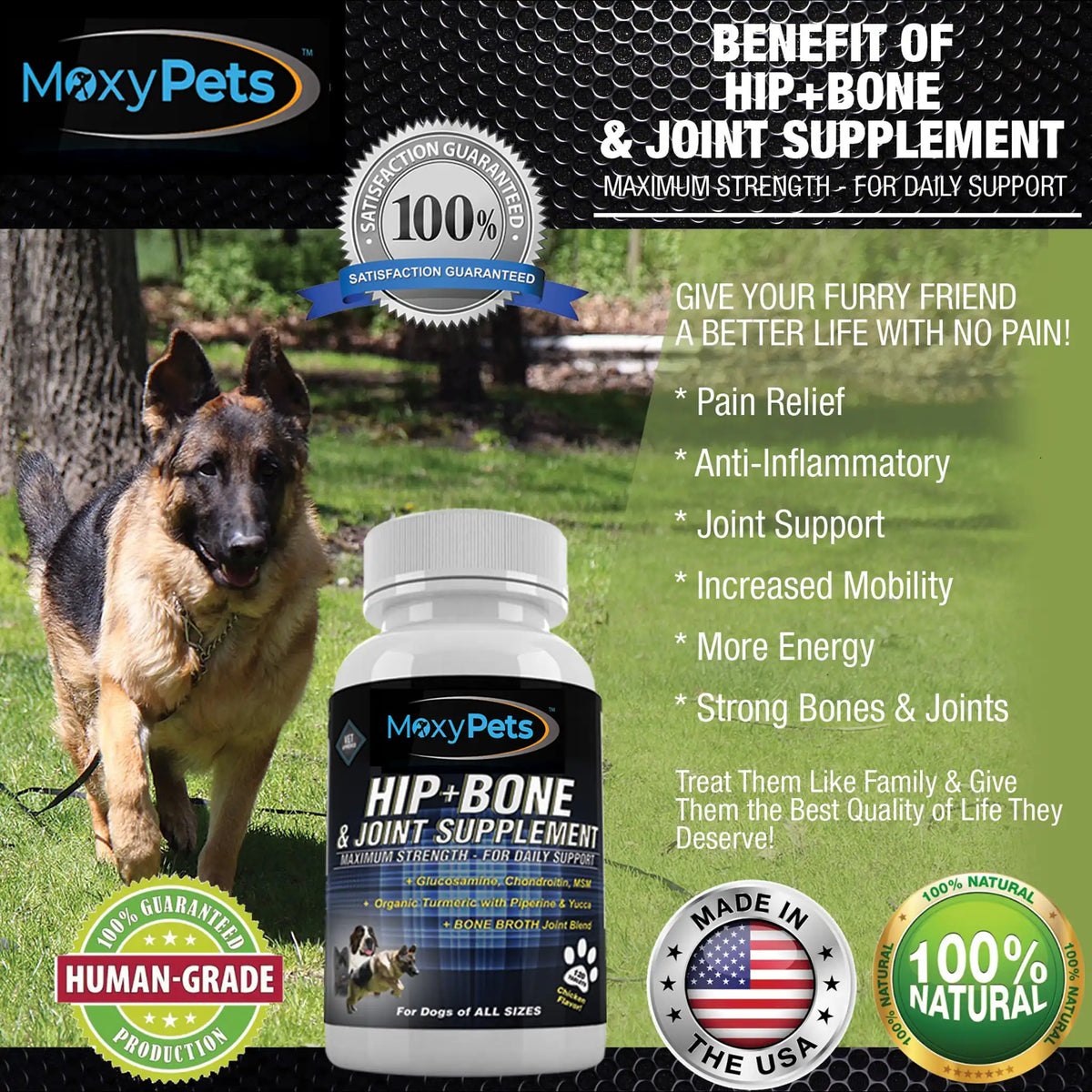MoxyPets Hip + Bone & Joint Supplement for dogs with a dog walking outdoors in the background.