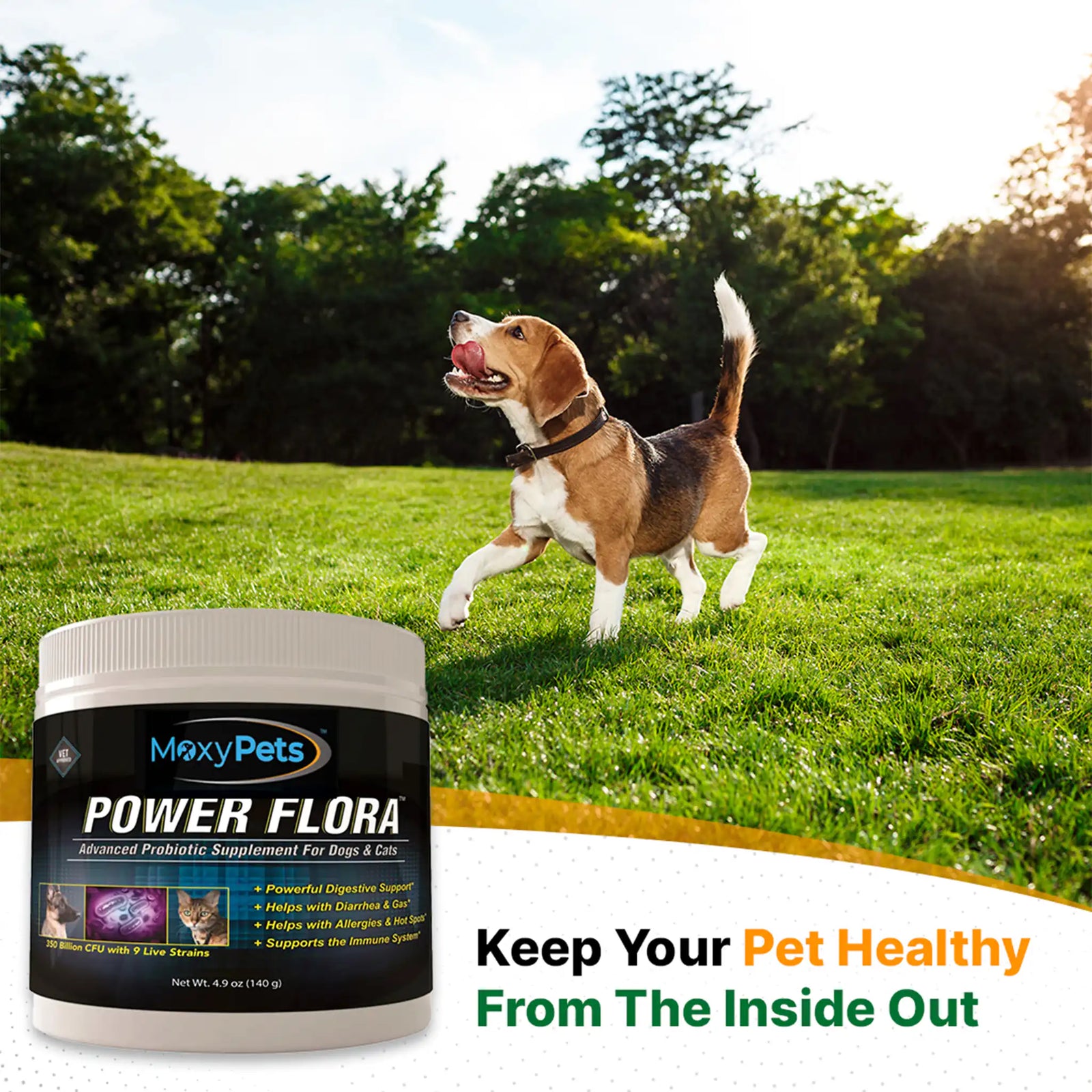 Moxy Pets Power Flora supplement container for dogs and cats on a white background