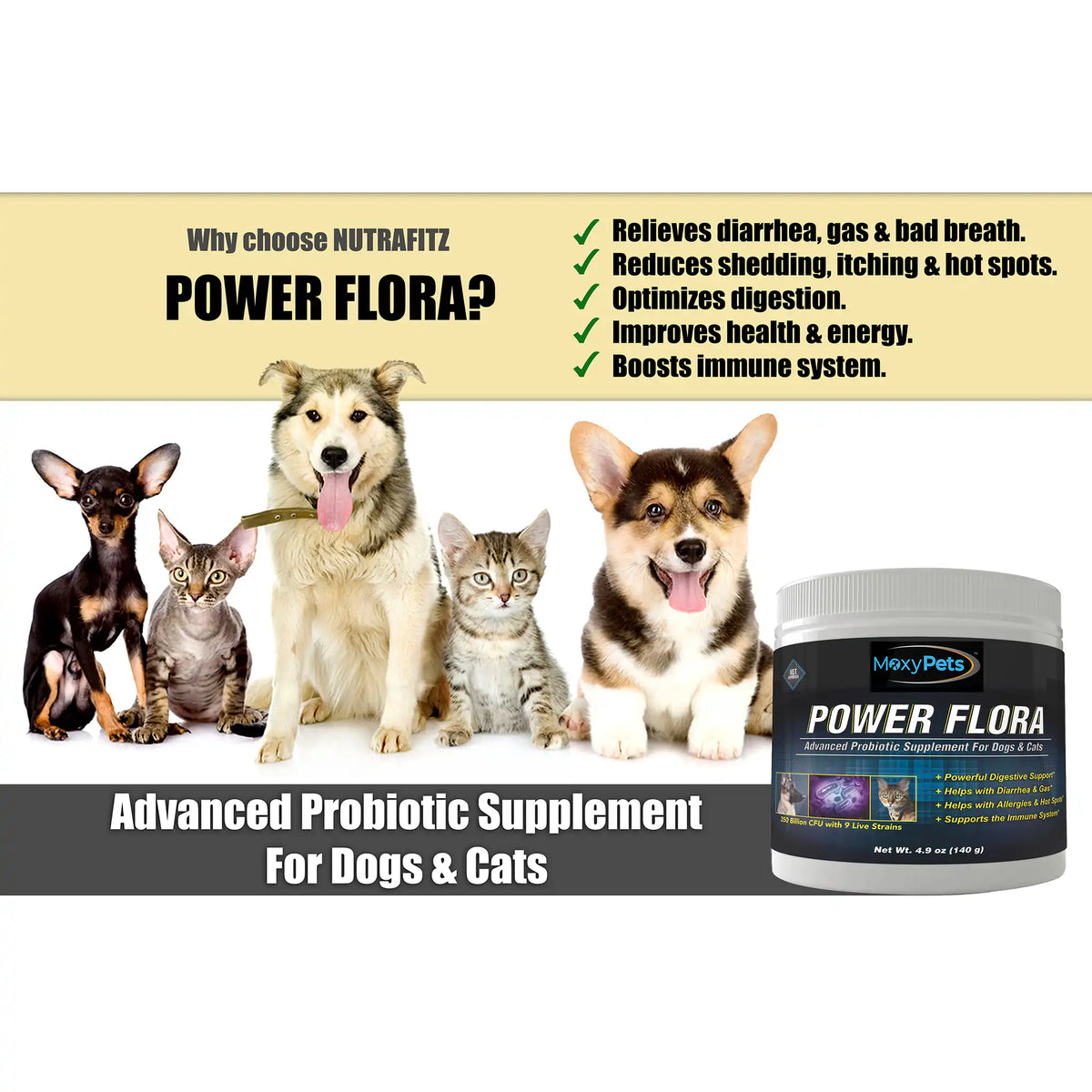 Probiotic supplement with dogs and cats on a white background