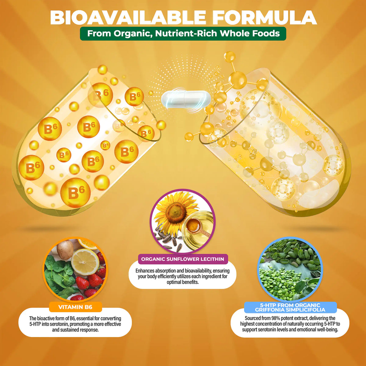 Illustration of a bioavailable formula with vitamins B6 and organic sunflower lecithin on an orange background.
