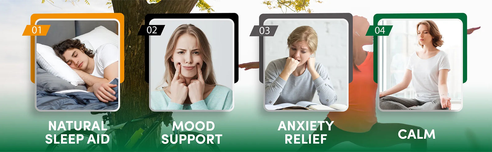 Four product cards labeled 'Natural Sleep Aid', 'Mood Support', 'Anxiety Relief', and 'Calm' with images of people in various states.