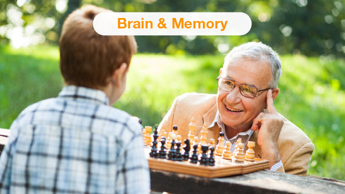 A happy wise looking elderly man with glasses playing chess with a kid and the text Brain and Memory.