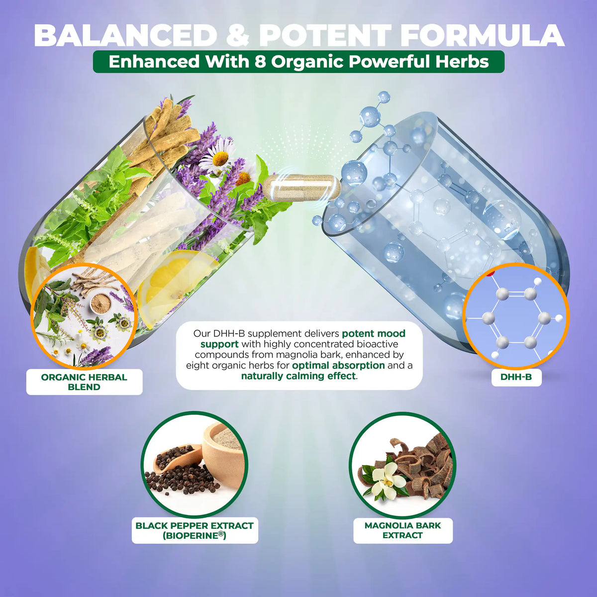 Infographics with two half capsules filled with various natural ingredients. Enhanced with organic powerful herbs to support mood and natural calming effect. 