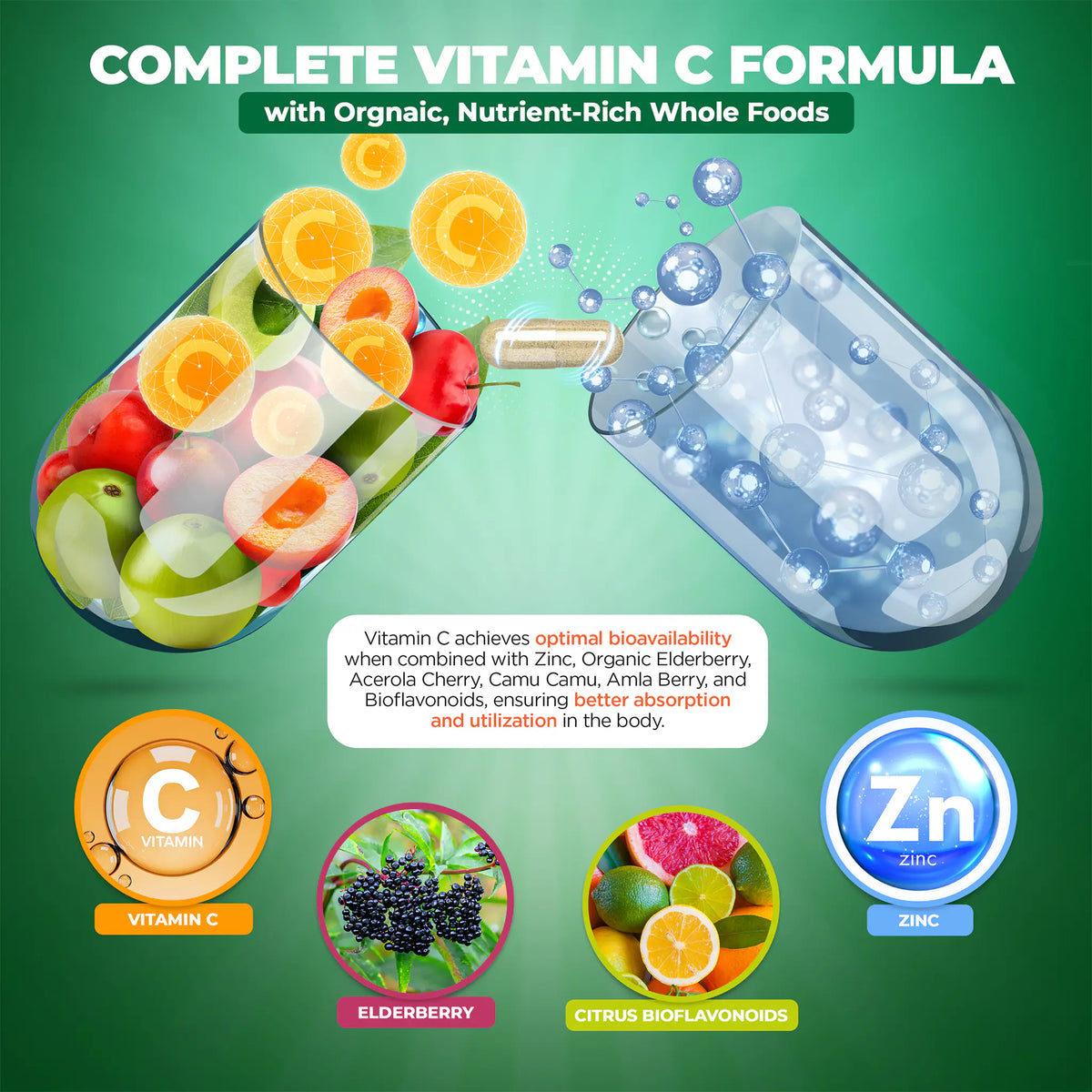 Infographics of Vitamin C formula with organic ingredients, achieves optimal bioavailability ensuring better absorption and utilization in the body.