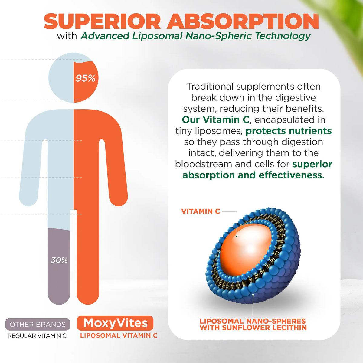 Infographics describing benefits of liposomal technology providing superior absorption and effectiveness