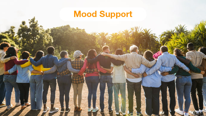 A row of people holding each other with hands on their shoulders and a text: mood support.