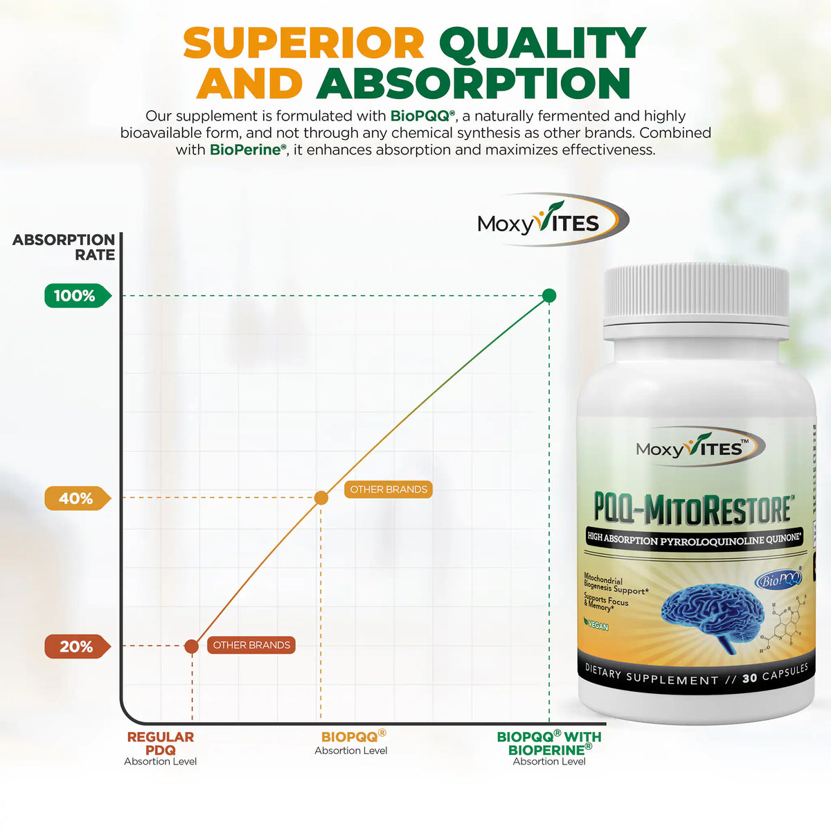 Absorption rate chart on a light background: Superior Quality and Absorption With Bio-Perine