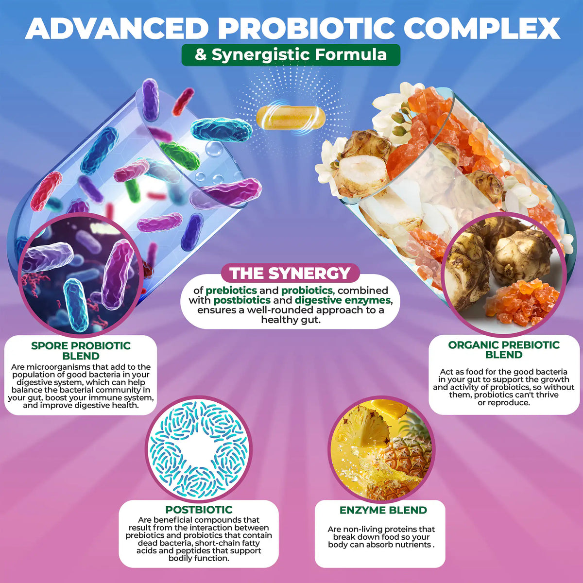 Diagram of an advanced probiotic complex with prebiotics and probiotics digestive enzymes ensures well-rounded approach to a healthy gut.