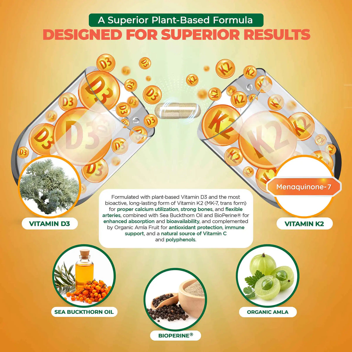 Two half capsules with D3, K2 and benefits: superior plant-based formula for proper calcium utilization, strong bones, enhanced absorption, antioxidant protection and immune support. 