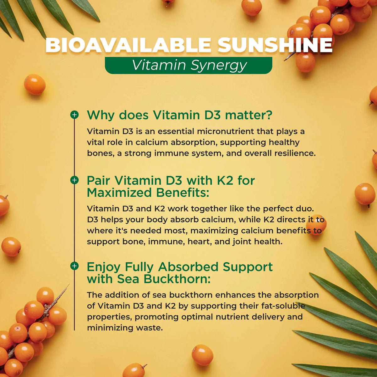 Vitamin D3 and K2 synergy with sea buckthorn on a yellow background: enhance absorption, promoting optimal nutrient delivery 