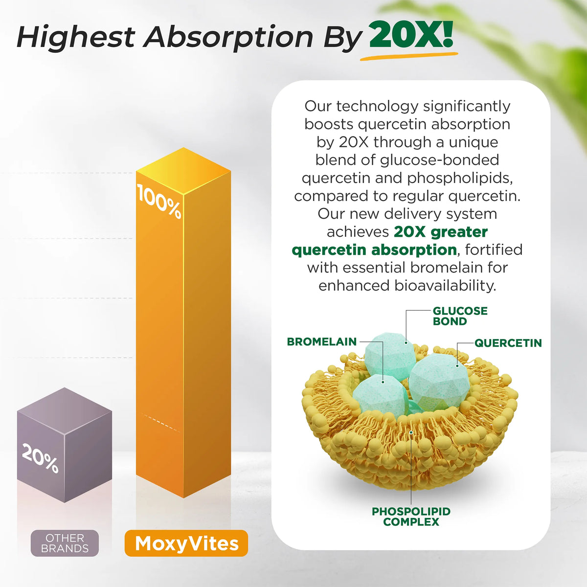 Infographics with a comparison of absorption levels, unique blend of glucose-bonded quercetin and phospholipids providing 20x greater quercetin absorption. 