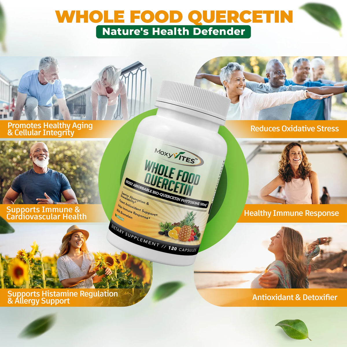Infographics illustrating Quercetin health benefits, it regulates histamine, promote healthy immune response, acts as antioxidant and detoxifier.